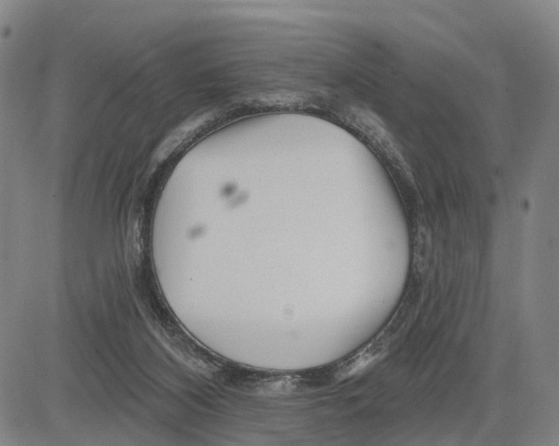 X0000081420116200702021637