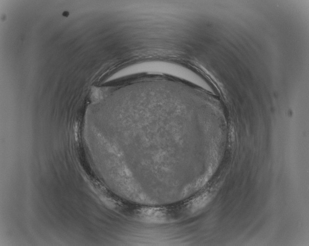 X0000081420117200702021637