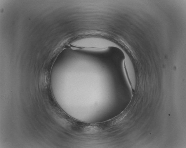 X0000081420119200702021637