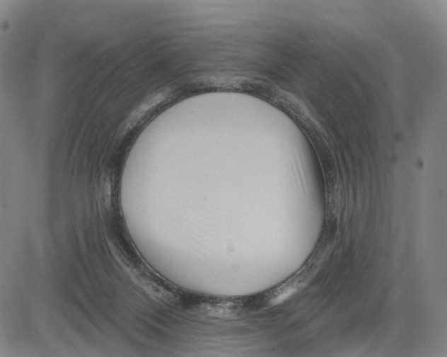 X0000081420120200702021637