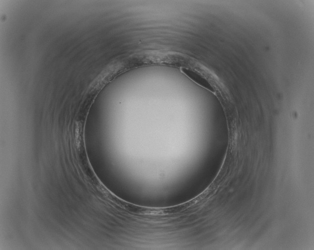 X0000081420121200702021637