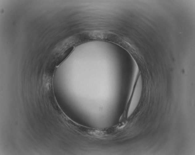 X0000081420125200702021637