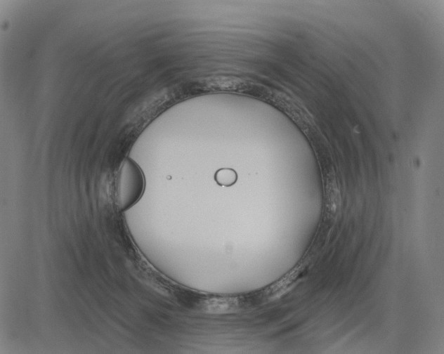 X0000081420126200702021637