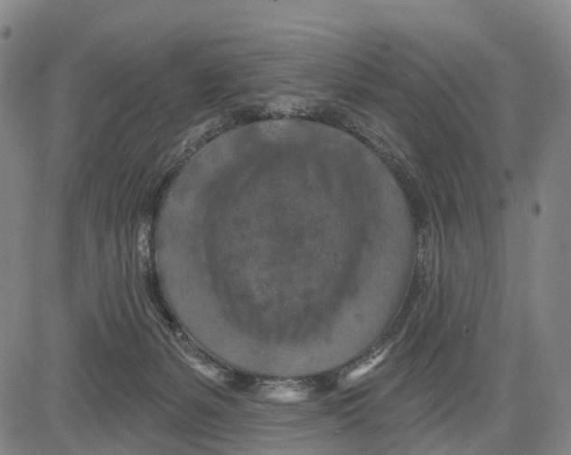 X0000081420127200702021637