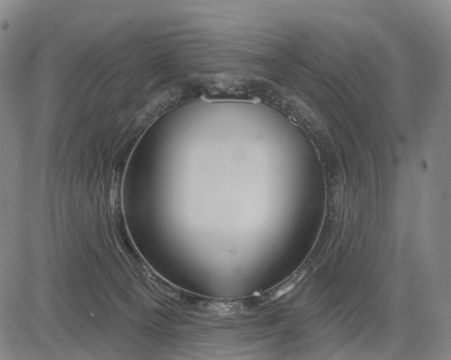 X0000081420129200702021637