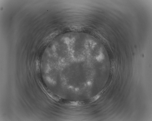 X0000081420130200702021637