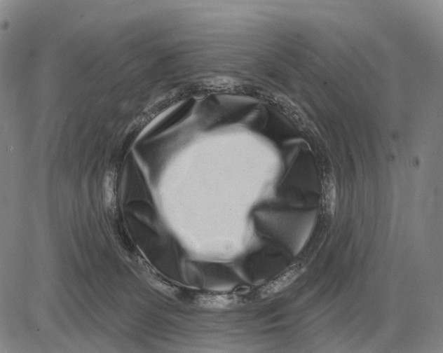 X0000081420131200702021637