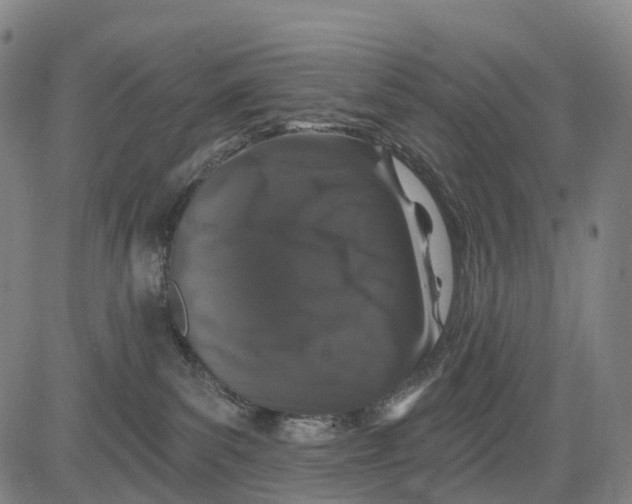 X0000081420139200702021637