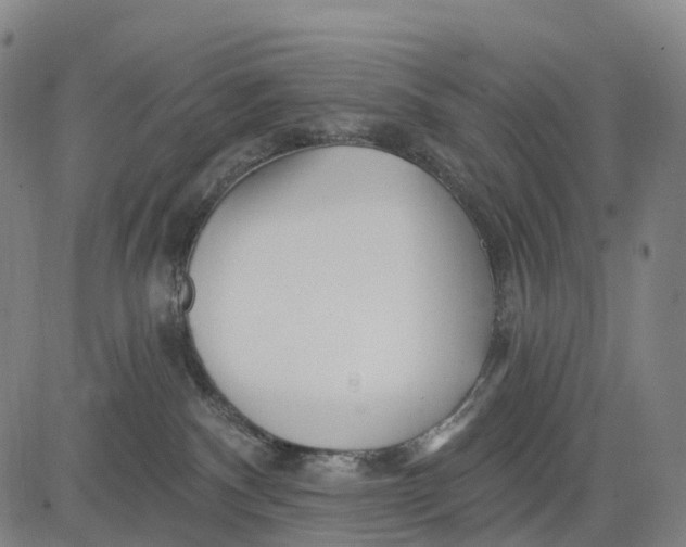 X0000081420140200702021637