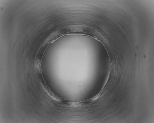 X0000081420141200702021637