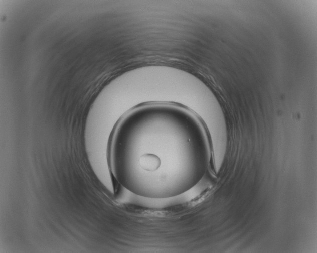 X0000081420143200702021637