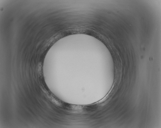 X0000081420144200702021637