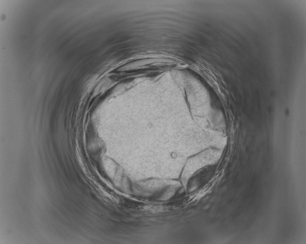 X0000081420145200702021636