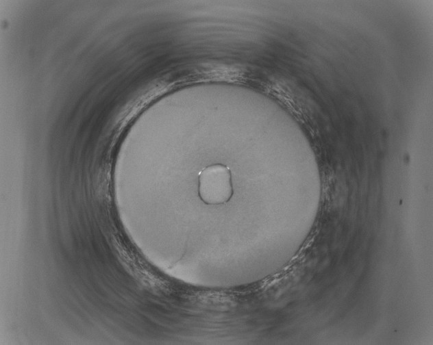 X0000081420146200702021636