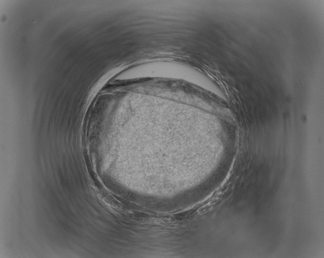 X0000081420147200702021636