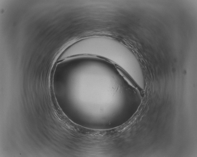 X0000081420148200702021636