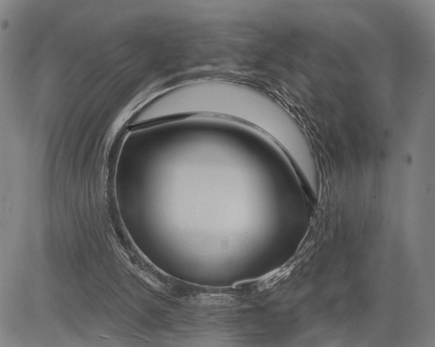 X0000081420150200702021636