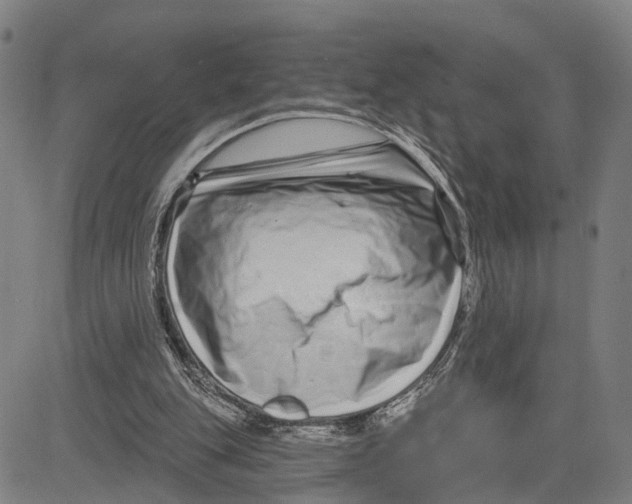 X0000081420151200702021636