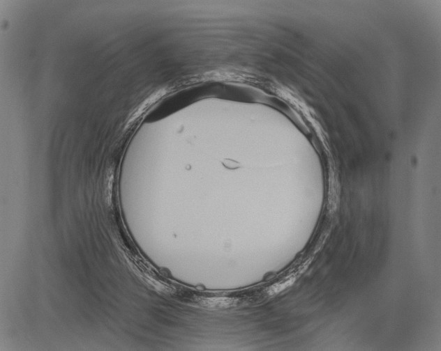 X0000081420153200702021636