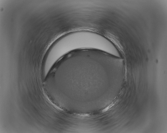 X0000081420156200702021636