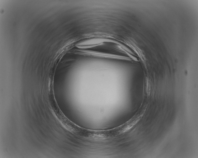 X0000081420157200702021636