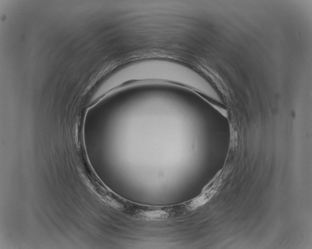 X0000081420158200702021636