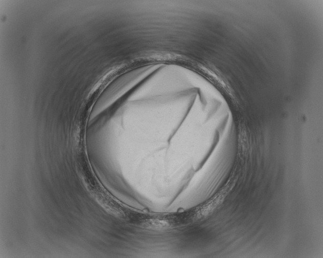 X0000081420159200702021636