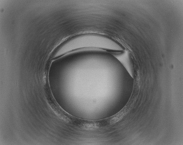 X0000081420160200702021636