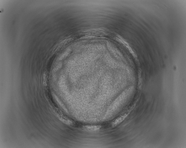 X0000081420161200702021636