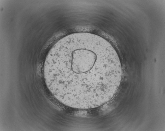 X0000081420162200702021636