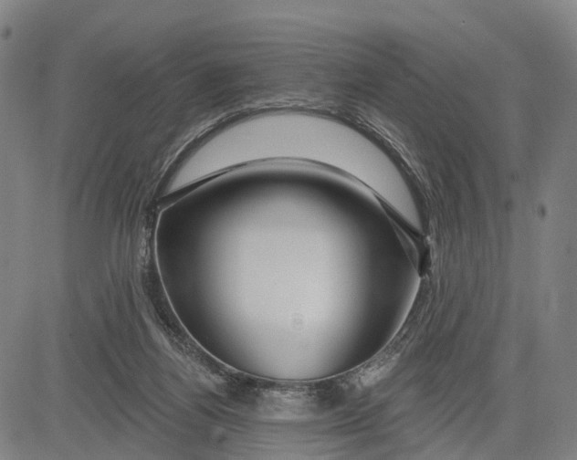 X0000081420164200702021636