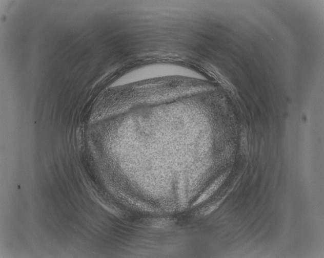 X0000081420165200702021636