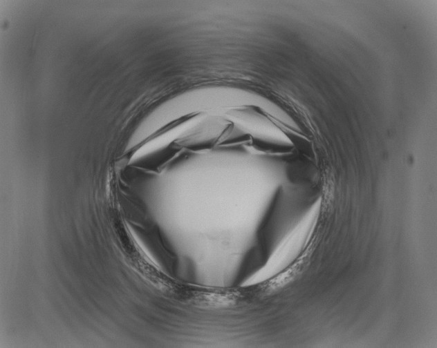 X0000081420166200702021636