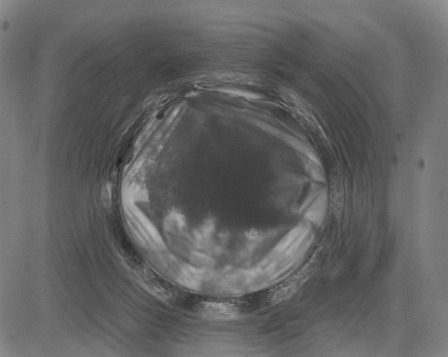 X0000081420167200702021636