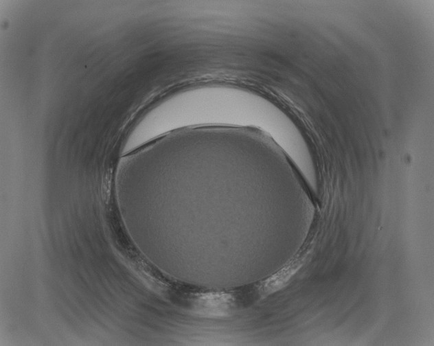 X0000081420168200702021636