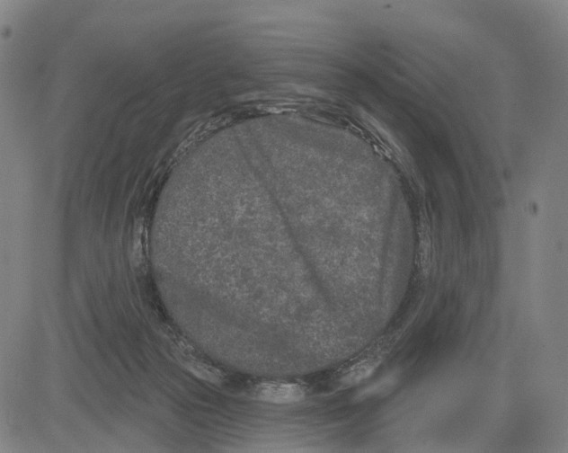 X0000081420169200702021636