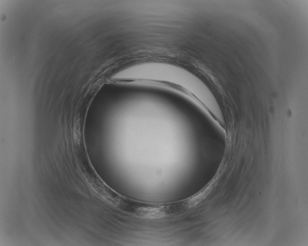 X0000081420170200702021636