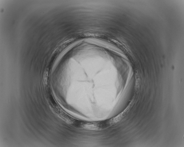 X0000081420171200702021636