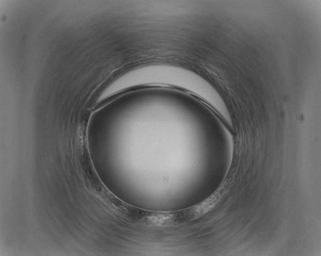 X0000081420172200702021636