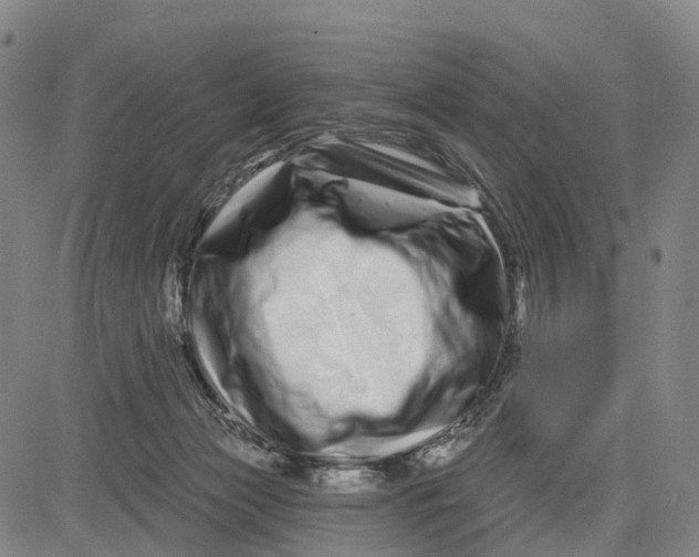 X0000081420173200702021636