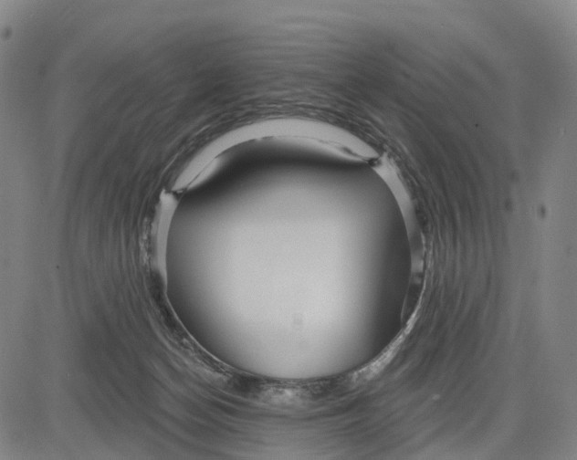 X0000081420174200702021636