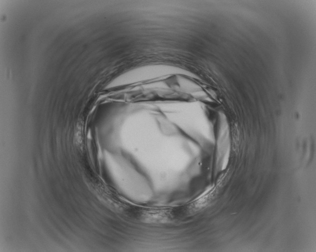 X0000081420175200702021636