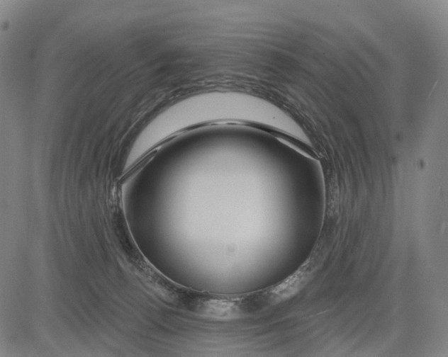 X0000081420176200702021636