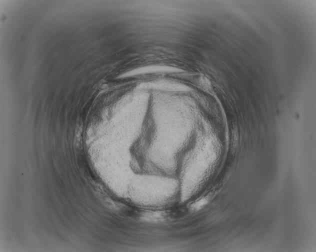 X0000081420177200702021636