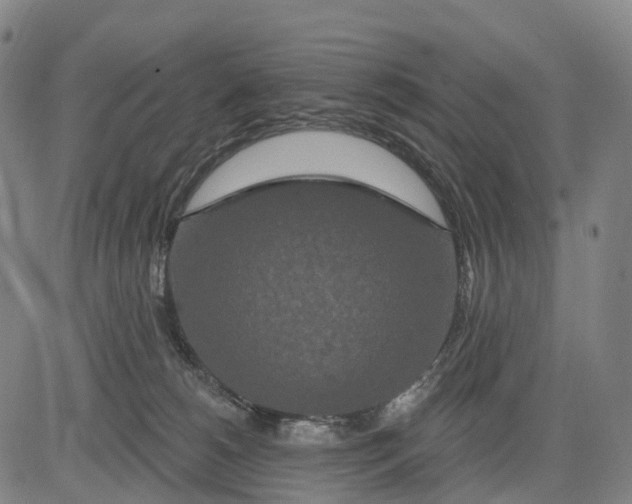 X0000081420180200702021636