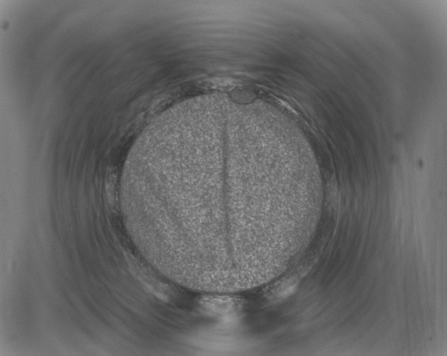 X0000081420181200702021636