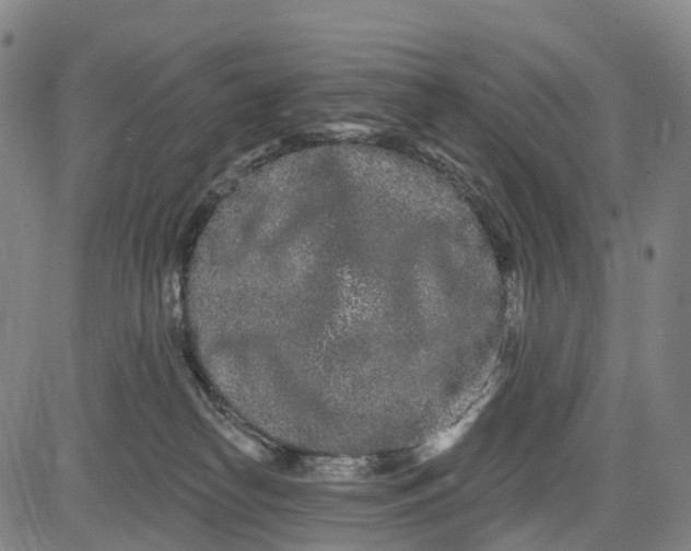 X0000081420182200702021636