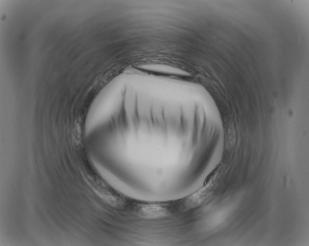 X0000081420183200702021636