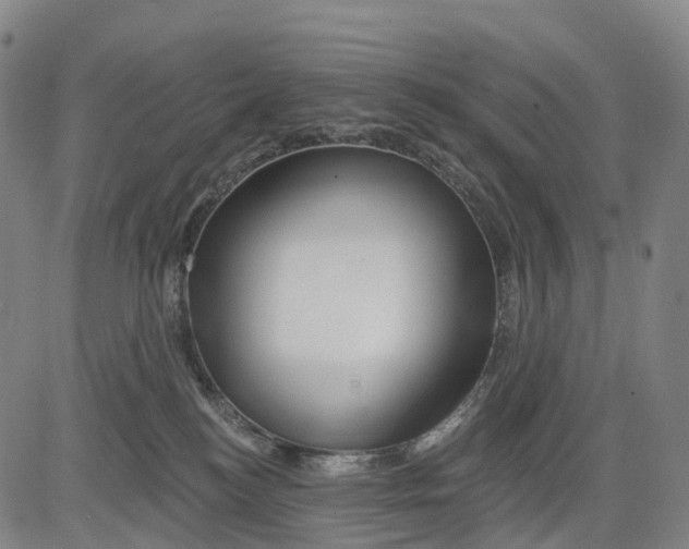 X0000081420184200702021636