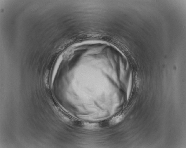 X0000081420185200702021636